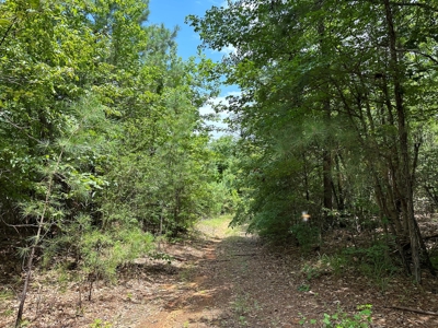 Rusk County Texas Recreational/Hunting Land For Sale - image 34