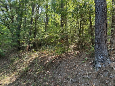 Rusk County Texas Recreational/Hunting Land For Sale - image 7