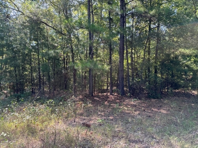 Rusk County Texas Recreational/Hunting Land For Sale - image 11