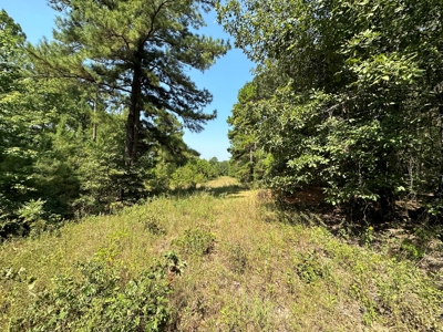 Rusk County Texas Recreational/Hunting Land For Sale - image 27