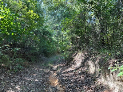 Rusk County Texas Recreational/Hunting Land For Sale - image 18
