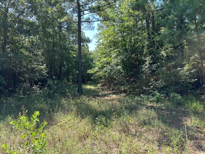 Rusk County Texas Recreational/Hunting Land For Sale - image 23