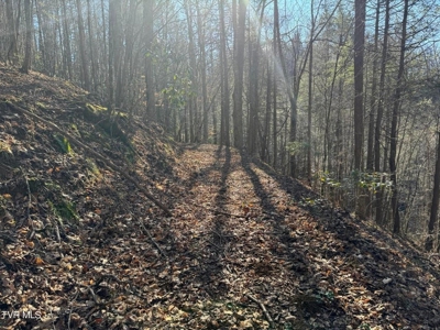 32.08 acres in Unicoi County, Tennessee - image 16