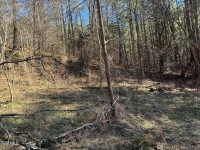 32.08 acres in Unicoi County, Tennessee - image 10
