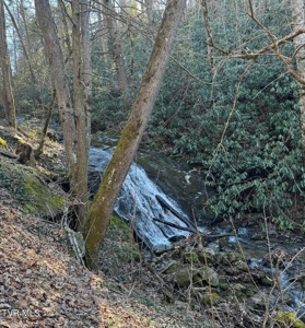 32.08 acres in Unicoi County, Tennessee - image 1
