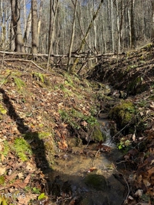 32.08 acres in Unicoi County, Tennessee - image 4