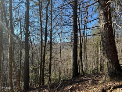 32.08 acres in Unicoi County, Tennessee - image 5