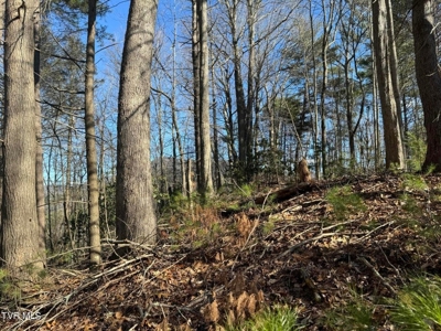 32.08 acres in Unicoi County, Tennessee - image 13