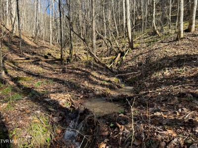 32.08 acres in Unicoi County, Tennessee - image 3