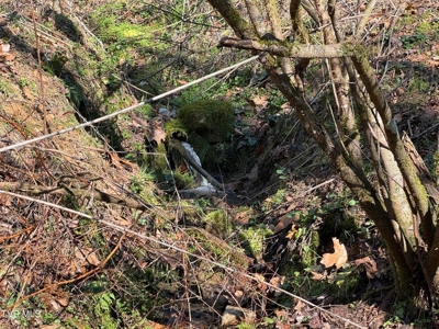 32.08 acres in Unicoi County, Tennessee - image 12