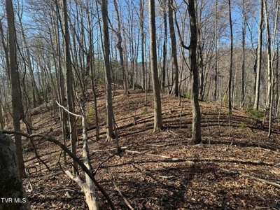 32.08 acres in Unicoi County, Tennessee - image 14