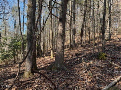 32.08 acres in Unicoi County, Tennessee - image 6