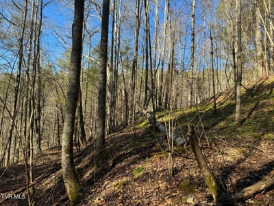 32.08 acres in Unicoi County, Tennessee - image 15
