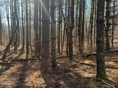 32.08 acres in Unicoi County, Tennessee - image 9