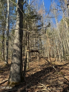 32.08 acres in Unicoi County, Tennessee - image 7