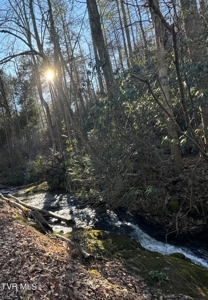32.08 acres in Unicoi County, Tennessee - image 2