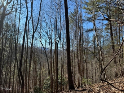 32.08 acres in Unicoi County, Tennessee - image 8
