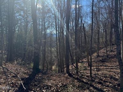 32.08 acres in Unicoi County, Tennessee - image 17