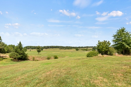 Custom Home with 80 acres for sale in Arkansas - image 42