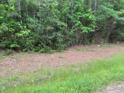 Houston County Texas Recreational/Hunting Land For Sale - image 7