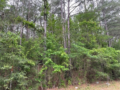 Houston County Texas Recreational/Hunting Land For Sale - image 10