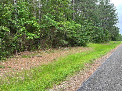 Houston County Texas Recreational/Hunting Land For Sale - image 6