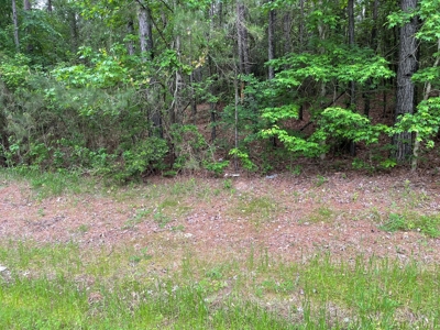 Houston County Texas Recreational/Hunting Land For Sale - image 2