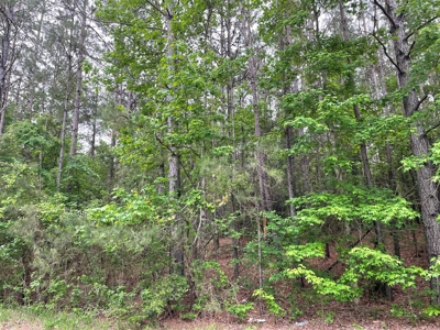 Houston County Texas Recreational/Hunting Land For Sale - image 3