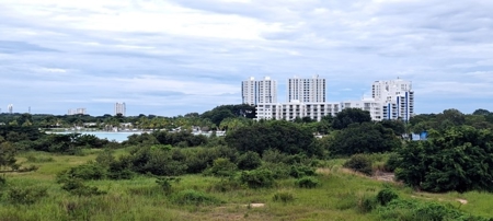 Apartment for sale&rent PH Founders 3 Playa Blanca, Rio Hato - image 4