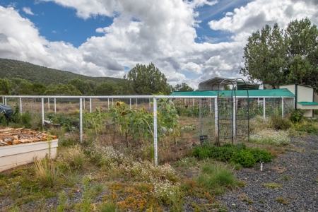 Off-grid Home with Guest Quarters on a Paved Rd for Sale - image 20