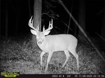 79 Acre Hunting Haven outside of Griffin, IN - image 18