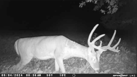 79 Acre Hunting Haven outside of Griffin, IN - image 42