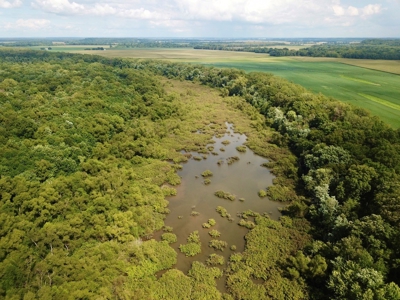 79 Acre Hunting Haven outside of Griffin, IN - image 13
