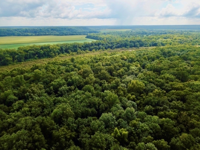 79 Acre Hunting Haven outside of Griffin, IN - image 4