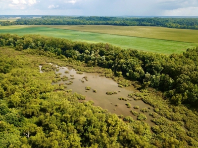 79 Acre Hunting Haven outside of Griffin, IN - image 6