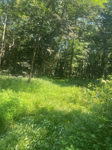 79 Acre Hunting Haven outside of Griffin, IN - image 33
