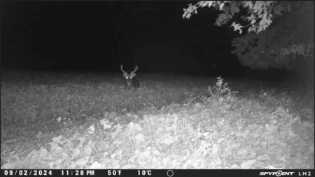 79 Acre Hunting Haven outside of Griffin, IN - image 41