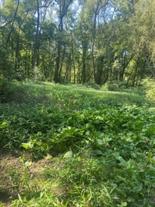 79 Acre Hunting Haven outside of Griffin, IN - image 34