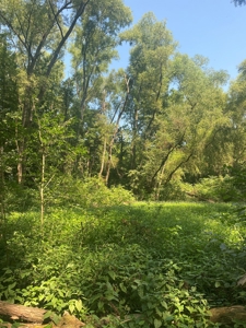 79 Acre Hunting Haven outside of Griffin, IN - image 35