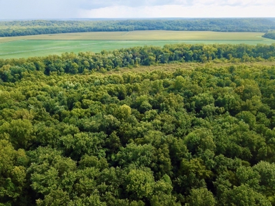 79 Acre Hunting Haven outside of Griffin, IN - image 5