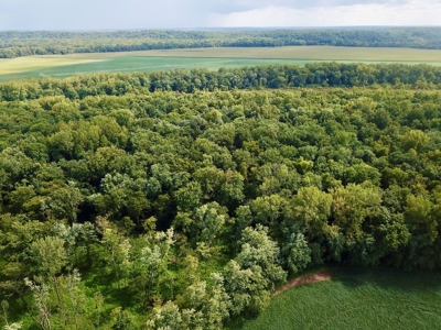 79 Acre Hunting Haven outside of Griffin, IN - image 7