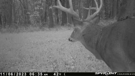 79 Acre Hunting Haven outside of Griffin, IN - image 21