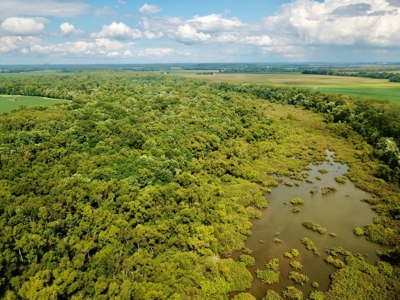 79 Acre Hunting Haven outside of Griffin, IN - image 1