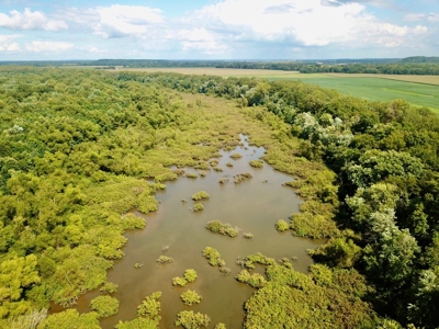 79 Acre Hunting Haven outside of Griffin, IN - image 10