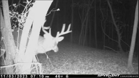79 Acre Hunting Haven outside of Griffin, IN - image 20