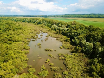 79 Acre Hunting Haven outside of Griffin, IN - image 12