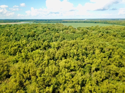 79 Acre Hunting Haven outside of Griffin, IN - image 8