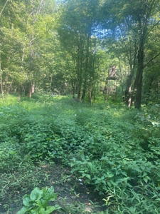 79 Acre Hunting Haven outside of Griffin, IN - image 31