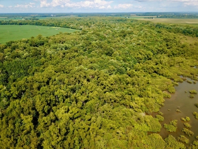 79 Acre Hunting Haven outside of Griffin, IN - image 9