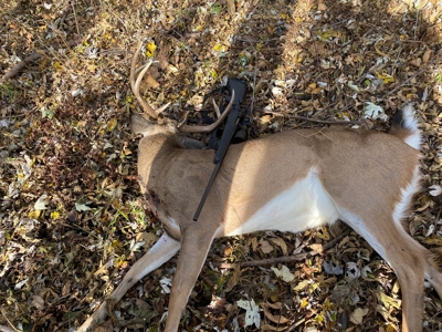 79 Acre Hunting Haven outside of Griffin, IN - image 14